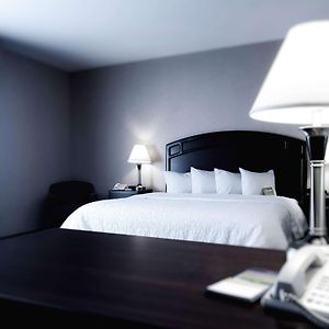 King Suite Sofa Bed Non-Smoking