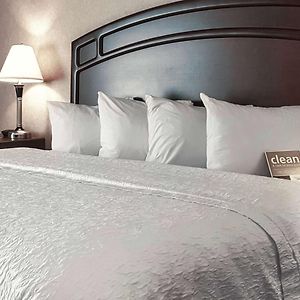 King Suite Sofa Bed